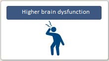 Higher brain dysfunction